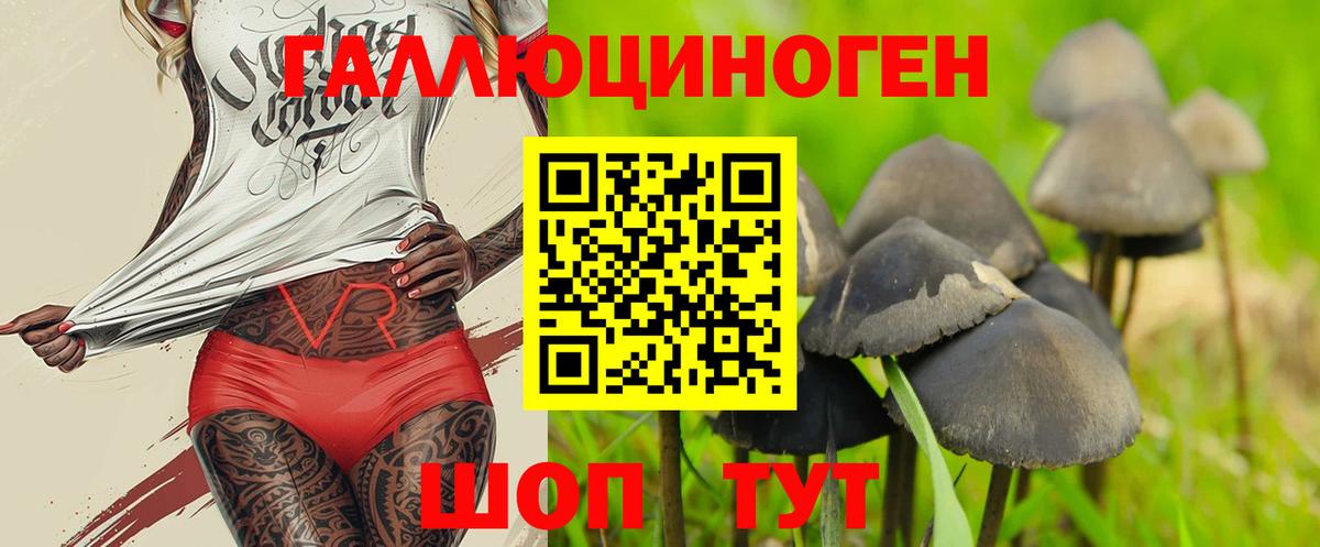 Челябинск  Псилоцибиновые грибы Psilocybine cubensis  Вход с VPN  Галлюциногенные грибы Psilocybine cubensis 